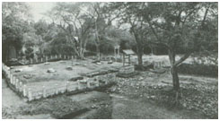 最初の多賀城跡の調査風景（東北歴史博物館提供）