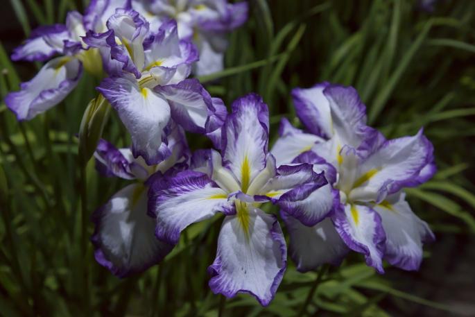 HikarinoInstallation-3