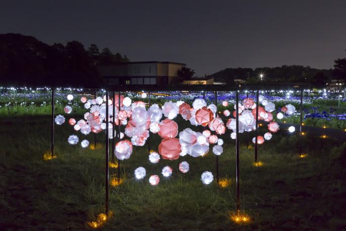 HikarinoInstallation-5