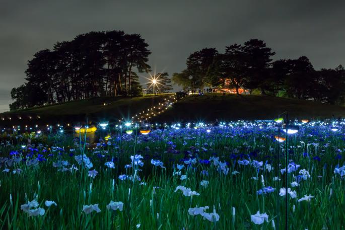 HikarinoInstallation2025-1