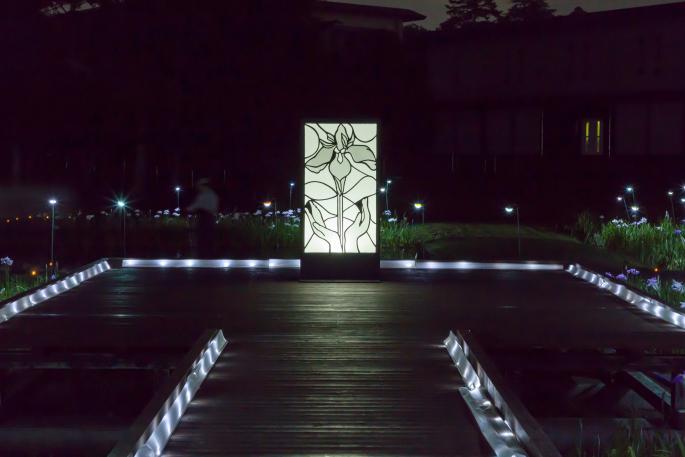 HikarinoInstallation2025-4