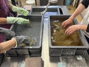 植物染めワークショップ様子