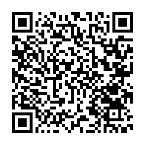 1013俳句フォーム