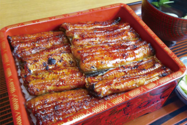 うなぎ山ざき