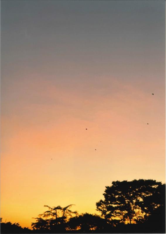 【市長賞】写真