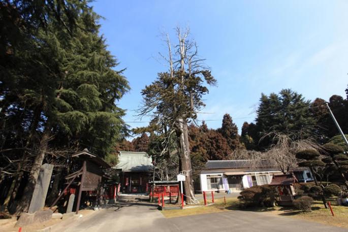 八幡神社の写真（震災前）