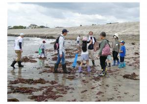 R5海のアートづくり教室海藻採取