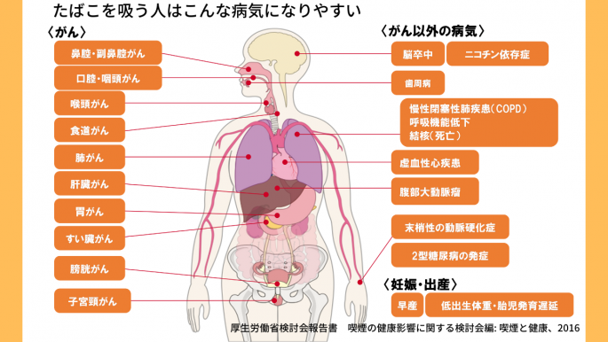 健康被害図