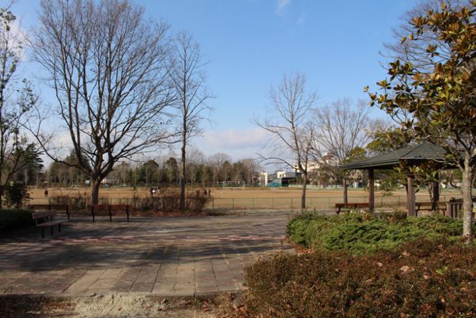 仙台港多賀城地区緩衝緑地公園の写真
