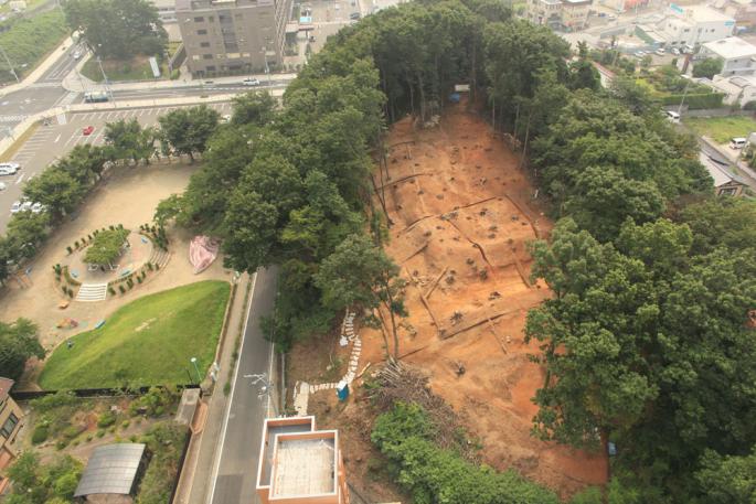 8桜井館跡（航空写真）