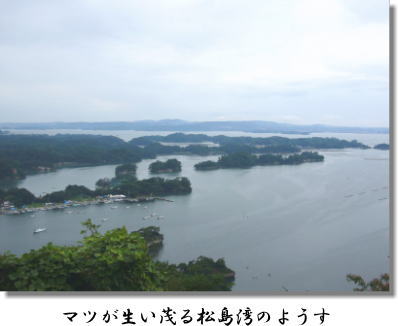 塩作りが変えた松島湾の風景