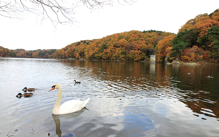 加瀬沼の紅葉