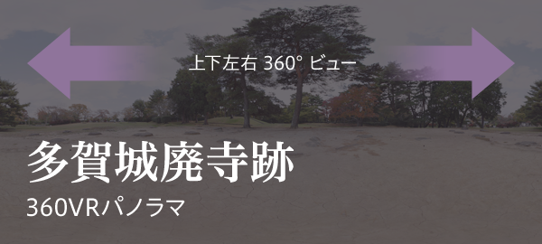 多賀城廃寺跡 360VRパノラマ