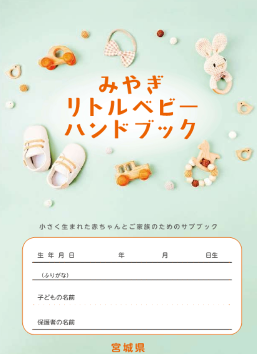 リトルベビーハンドブック表紙
