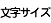 文字サイズ