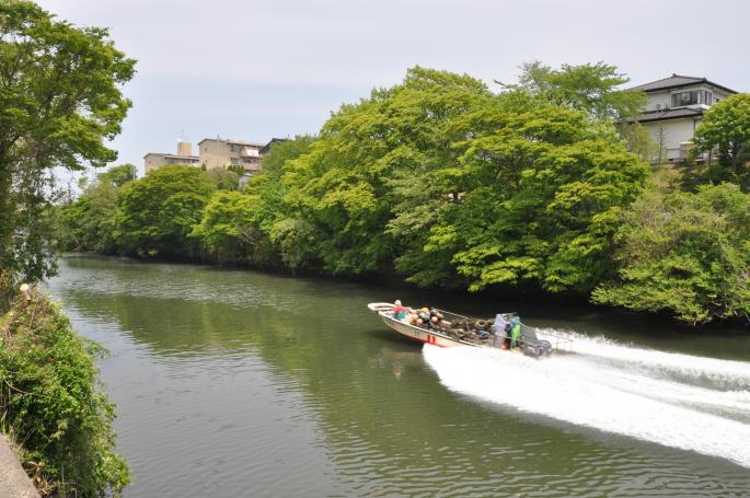 写真：貞山運河の河川景観